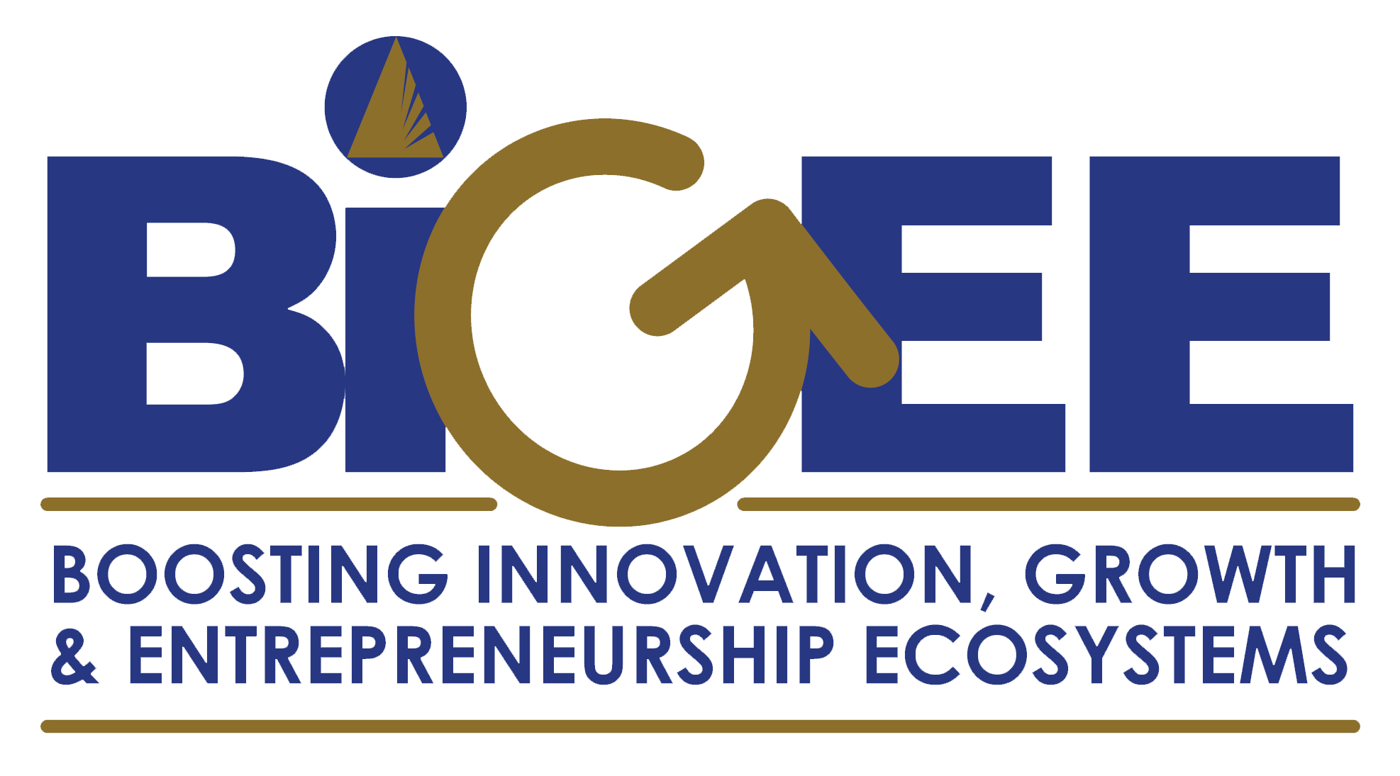 Grow Bigger with BIGEE – Grants, Loans and Programmes to Grow your Business